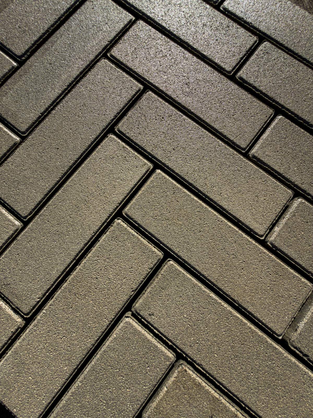 Ackerstone ivory porcelain pavers — premium outdoor paving material